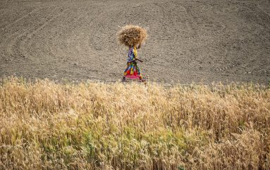 Gratë indiane rrisin të ardhmen e tyre