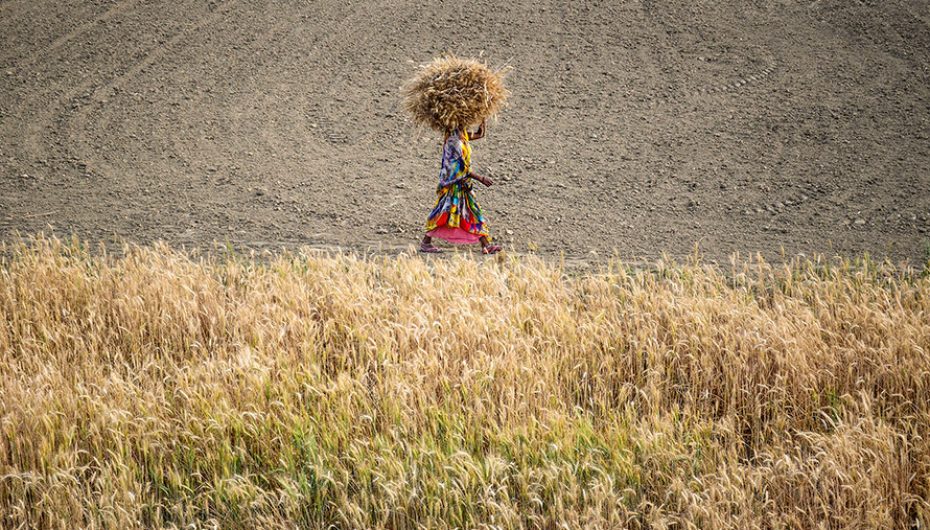Gratë indiane rrisin të ardhmen e tyre