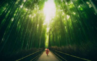 Besimi të ngre lart