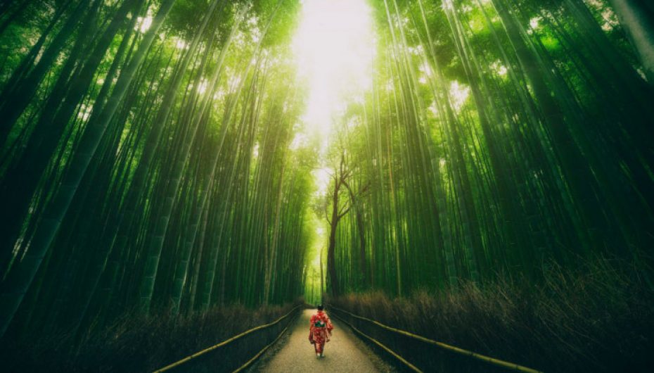 Besimi të ngre lart