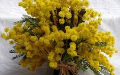 Mësuesja që shpërndante mirënjohjen e dashurisë! 