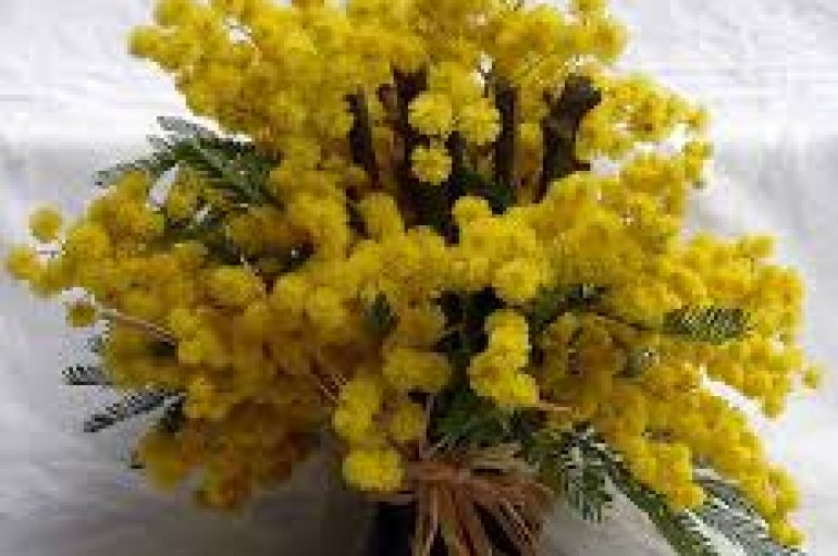 Mësuesja që shpërndante mirënjohjen e dashurisë! 