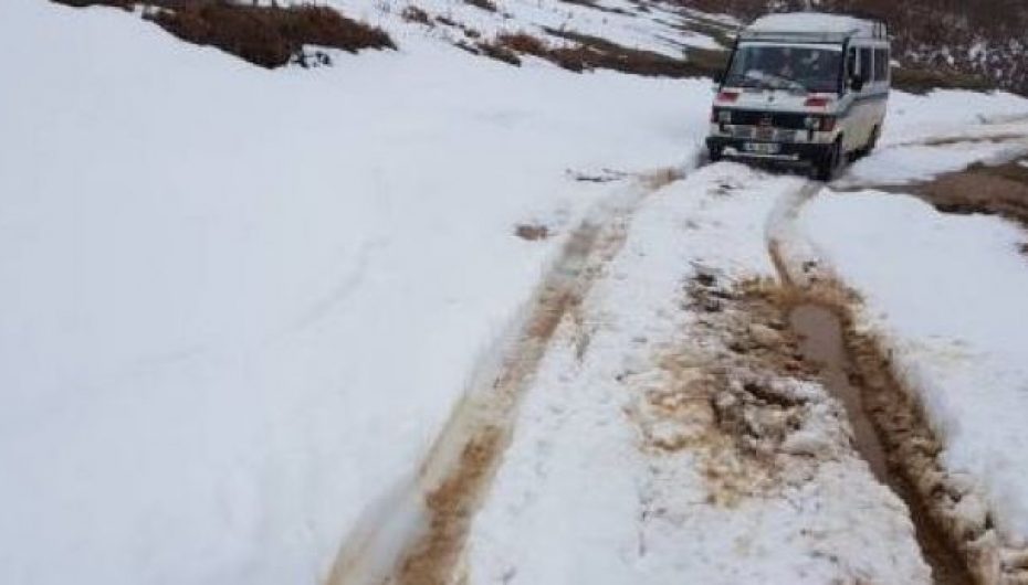 12 taktika themelore për të mbijetuar në dëborë