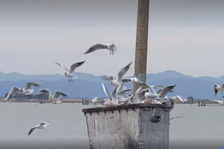 Pamje relaksuese në Kurbin