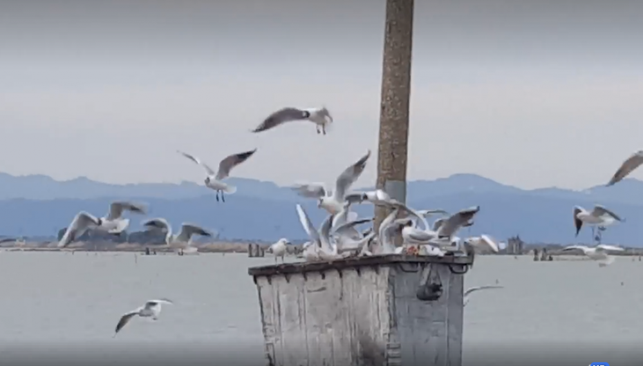 Pamje relaksuese në Kurbin