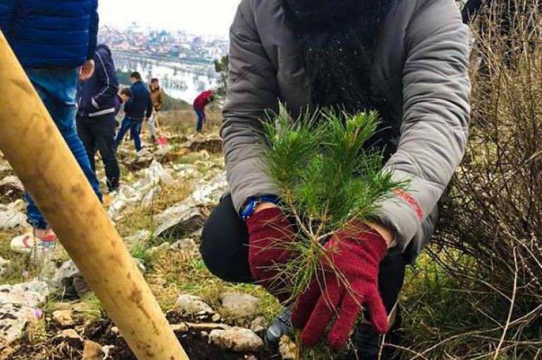 Jetesa e qëndrueshme: Disa mënyra të vogla për të shpëtuar planetin