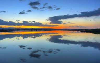 Të qenit mirënjohës plotëson tërë jetën