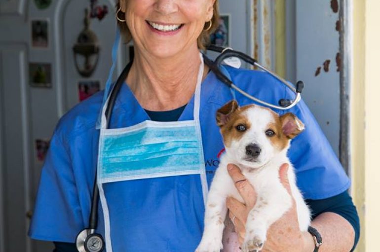 “Protect Me”, fushatë për sterilizimin e kafshëve endacake në Shqipëri