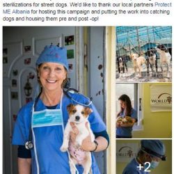 fgfffffffffffffffffffffffffffffffffffff