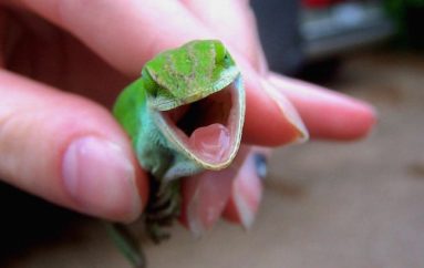 Ju i jepni kuptim jetës tuaj