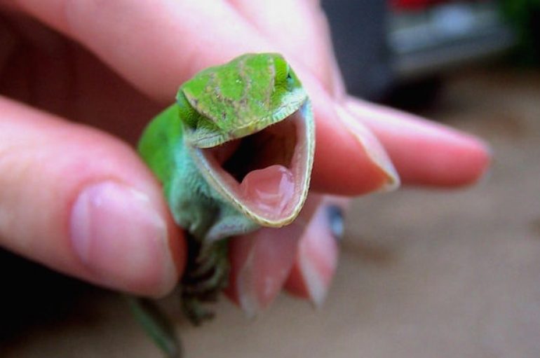 Ju i jepni kuptim jetës tuaj