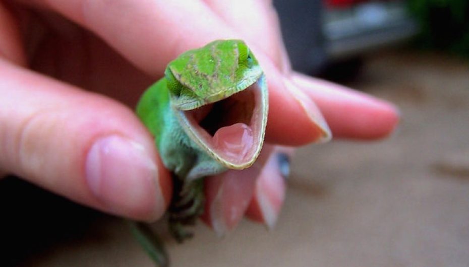 Ju i jepni kuptim jetës tuaj