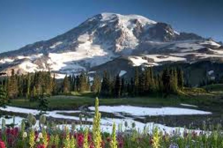 ‘Dhurata’ e një gruaje të vdekur mund të ‘ruajë jetën’ e banorëve