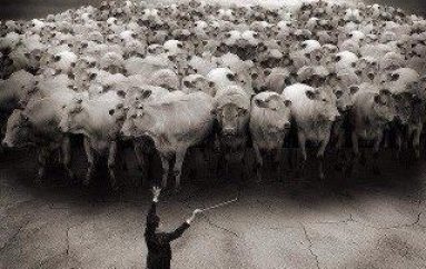 “Nënshtrimi është burgu i lirisë dhe armiku i rritjes”