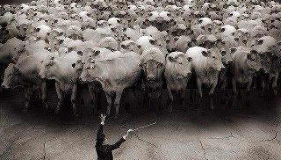 “Nënshtrimi është burgu i lirisë dhe armiku i rritjes”