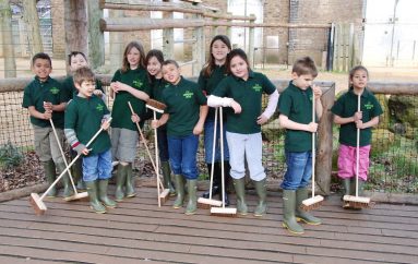 Disa gjëra që duhet të bëni para se të mbushni 18 vjeç