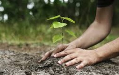 Gjithçka bëhet në të tashmen