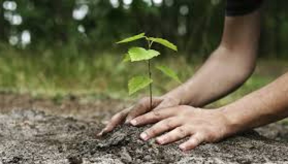 Gjithçka bëhet në të tashmen