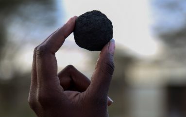 Të kthesh mbeturinat njerëzore në karburant