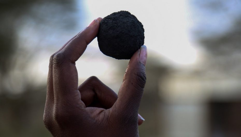 Të kthesh mbeturinat njerëzore në karburant