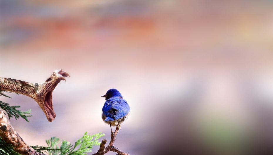 Qëndroni pozitiv sepse bukuria vjen nga brenda