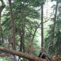 20180509142445-587×330