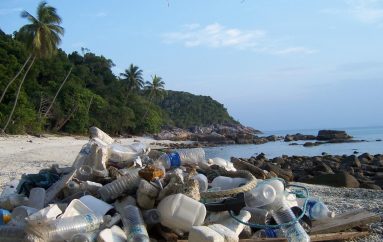 Shqipëria do buzëqeshë këtë verë nëse bëni veprimet e duhura