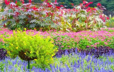 Mbillni farat e mirësisë