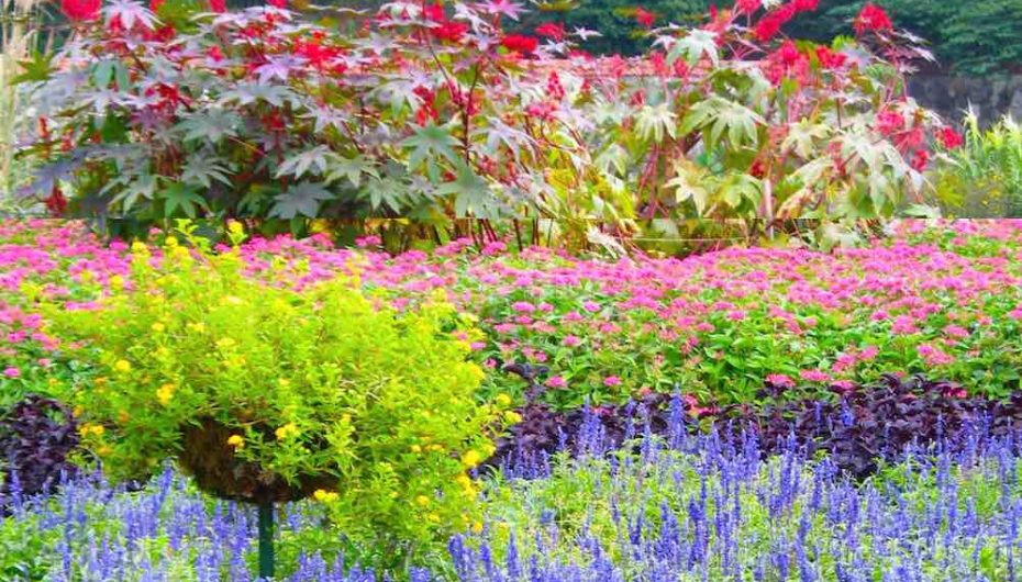 Mbillni farat e mirësisë