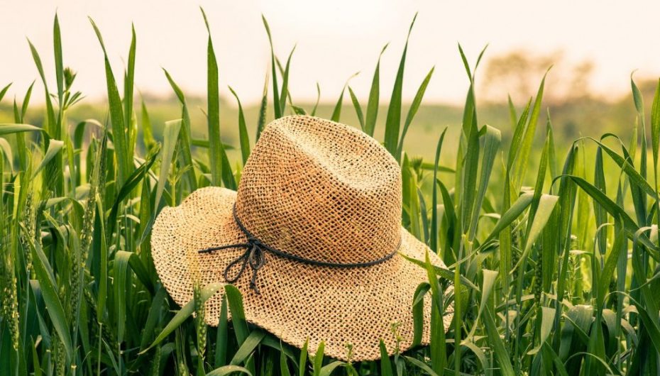 Tre fushata frymëzuese të shëndetit seksual