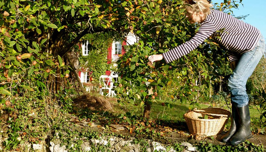 Një mesazh inkurajues mund të ndryshojë gjithçka