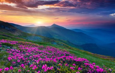 “Asnjëherë mos humbisni mundësinë për të parë diçka që është e bukur; sepse bukuria është shkrim i dorës së Perëndisë”