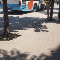 36417786_1653554554770267_7429551152947003392_n