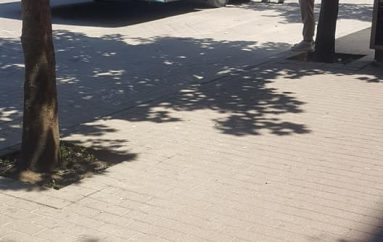 Tiranë, 30 vjeçari na zbukuron ditën me gjestin që bën ndaj një burri me aftësi të kufizuara