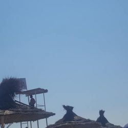 37208292_1674170126042043_2574768100075372544_n