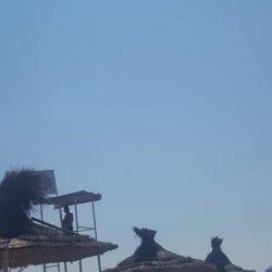 37228308_1674170192708703_1134740950992551936_n