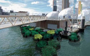 Mbeturinat e lumenjve mblidhen dhe riciklohen për të bërë parqe publike të mrekullueshme