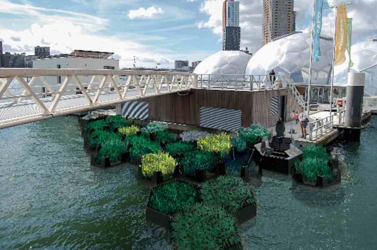 Mbeturinat e lumenjve mblidhen dhe riciklohen për të bërë parqe publike të mrekullueshme