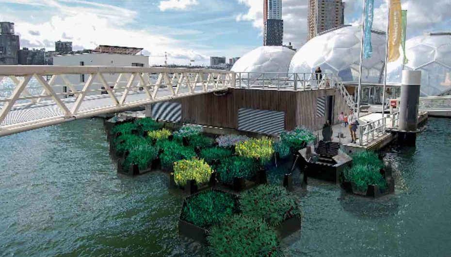 Mbeturinat e lumenjve mblidhen dhe riciklohen për të bërë parqe publike të mrekullueshme