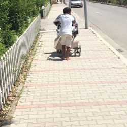 37795217_1687007761424946_4718628178657017856_n