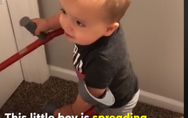 Ky djalë i vogël shpërndan buzëqeshje në të gjithë globin