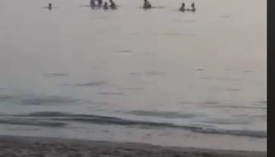 Në plazh, pas perëndimit të diellit