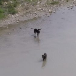 WhatsApp Image 2018-08-15 at 13.51.20