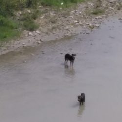 WhatsApp Image 2018-08-15 at 13.51.21