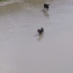 WhatsApp Image 2018-08-15 at 13.51.22