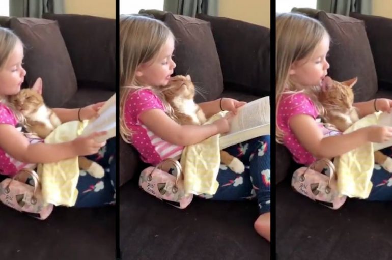 Vogëlushja i lexon përrallë para gjumit maces së saj