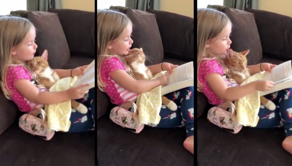 Vogëlushja i lexon përrallë para gjumit maces së saj