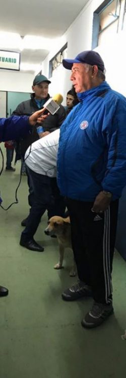 2dwb9-stray-dog-is-assistant-coach-2 (1)