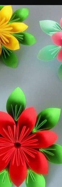 41180495_2081384758856533_4331474225958223872_n