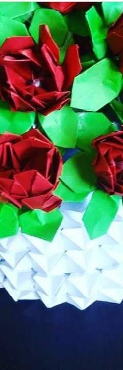 41215424_2118653174872084_929218833074356224_n (2)